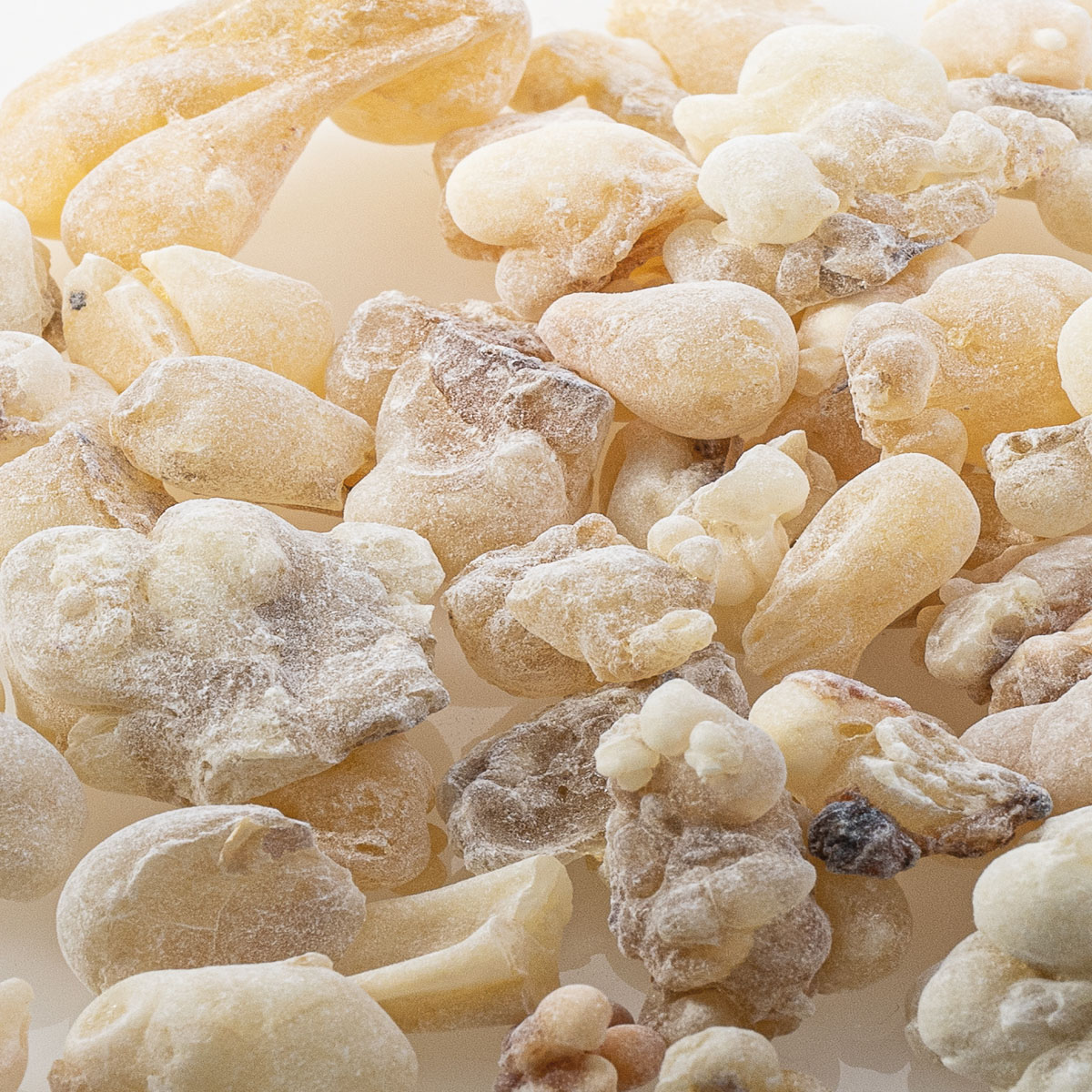 Weihrauch OMAN  Bone White Hojari Weihrauch OMAN  Bone White Hojari