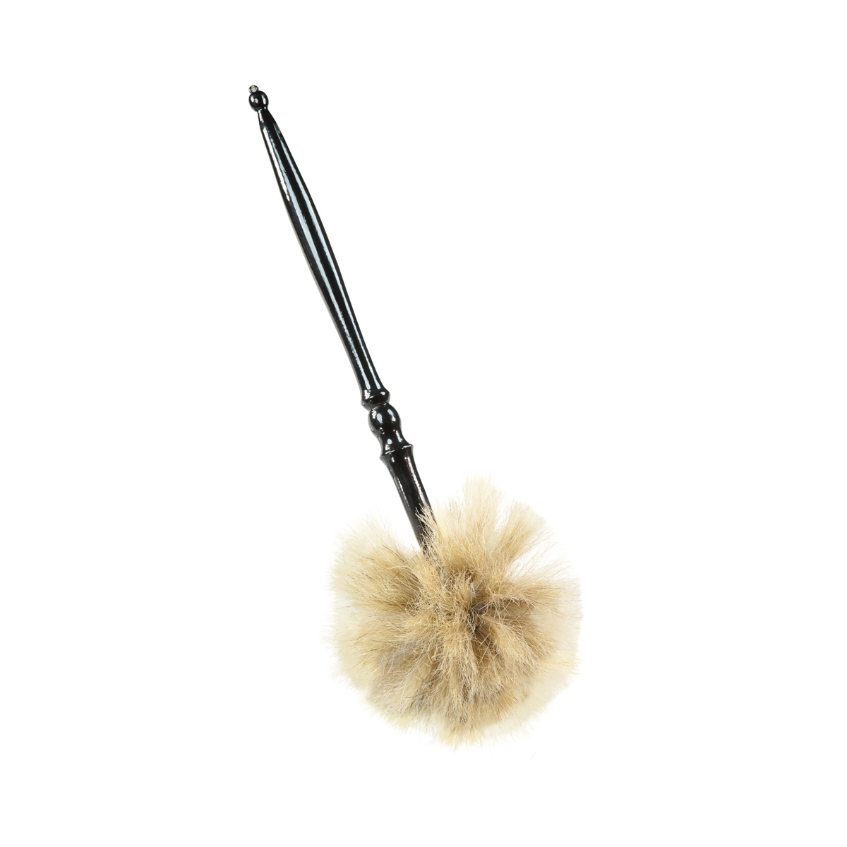 Borstenaspergil  35cm Borstenaspergil  35cm