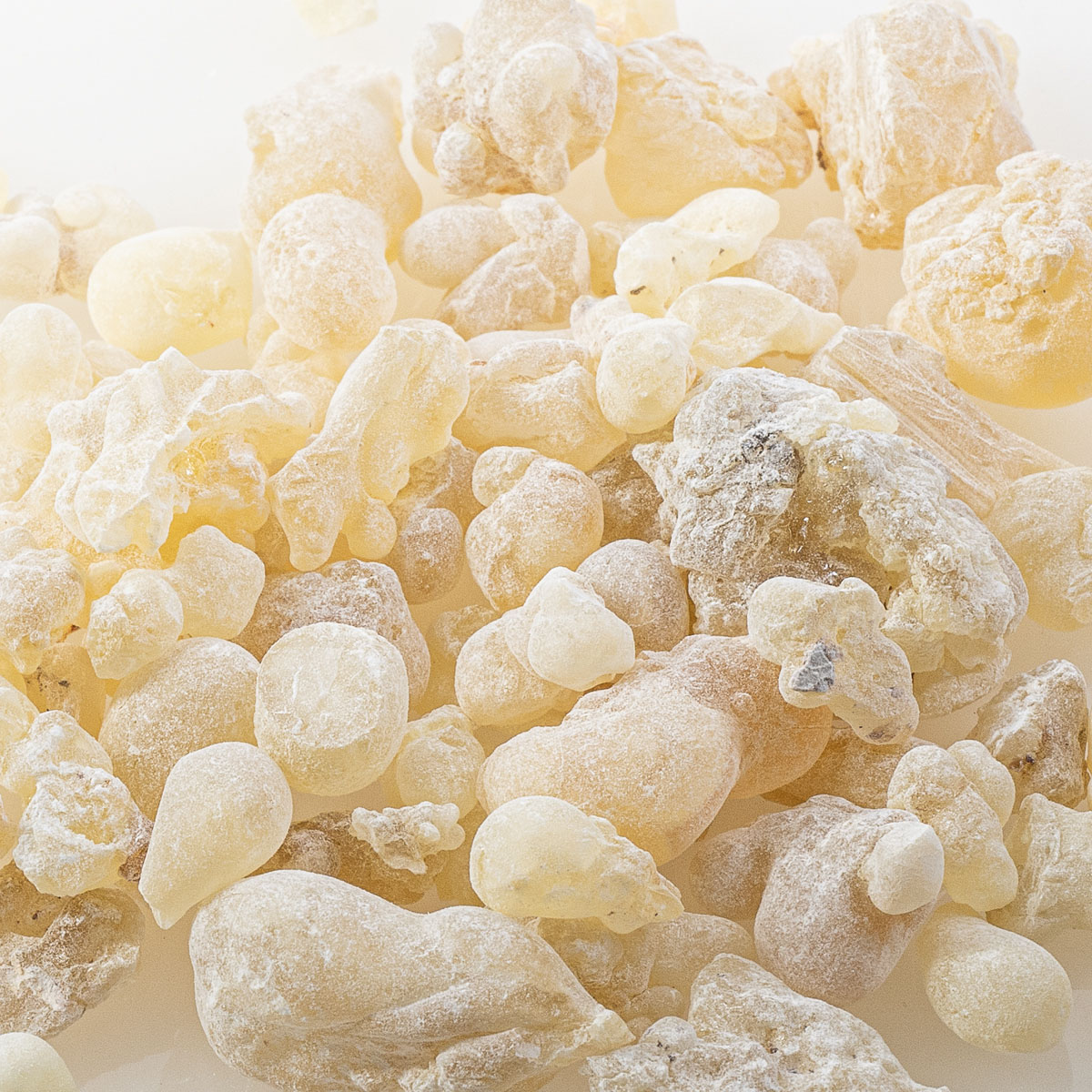 WR56 "Weihrauch Superior 1A" WR56 "Weihrauch Superior 1A"