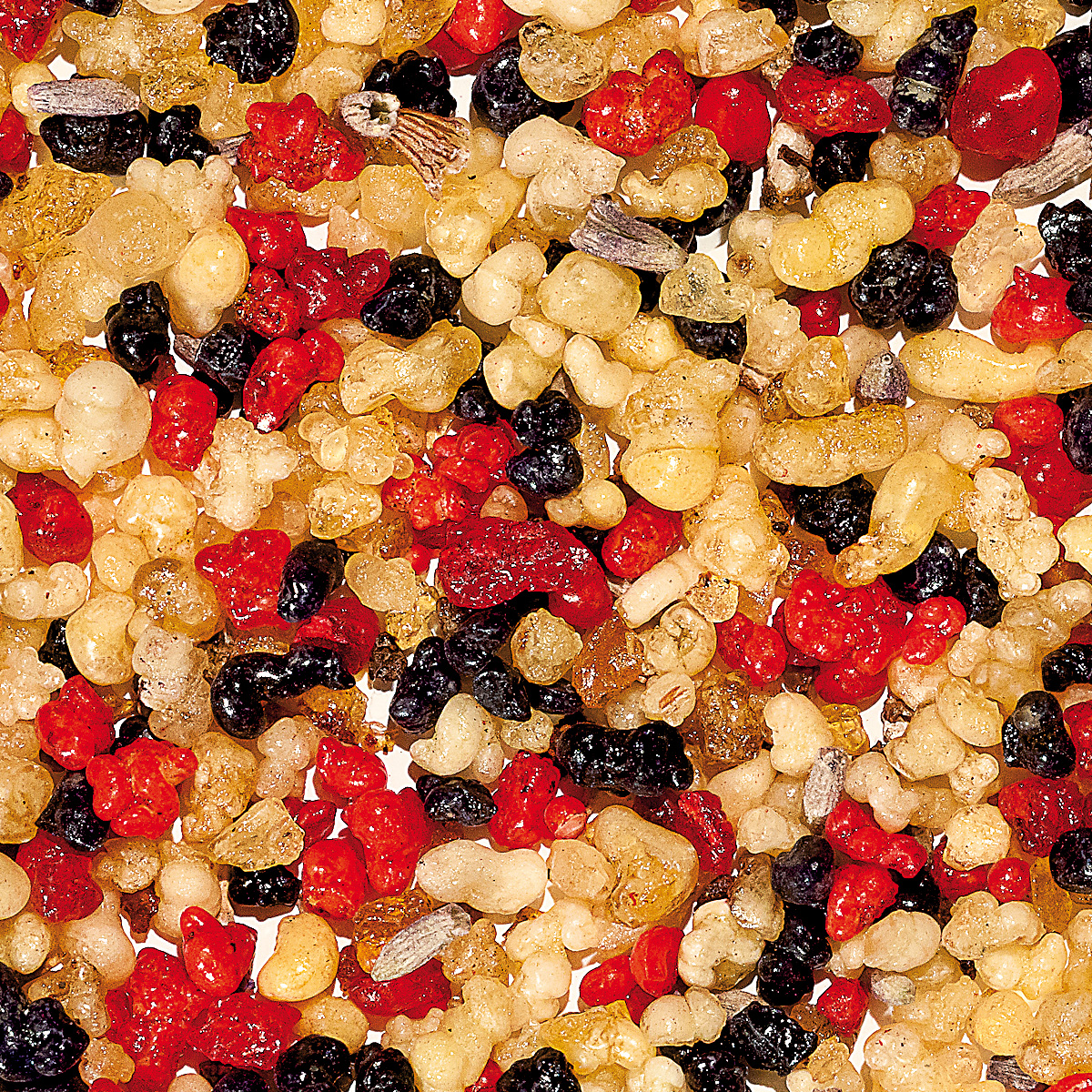 WR3 "Holländisch Nr. 3" WR3 "Holländisch Nr. 3"