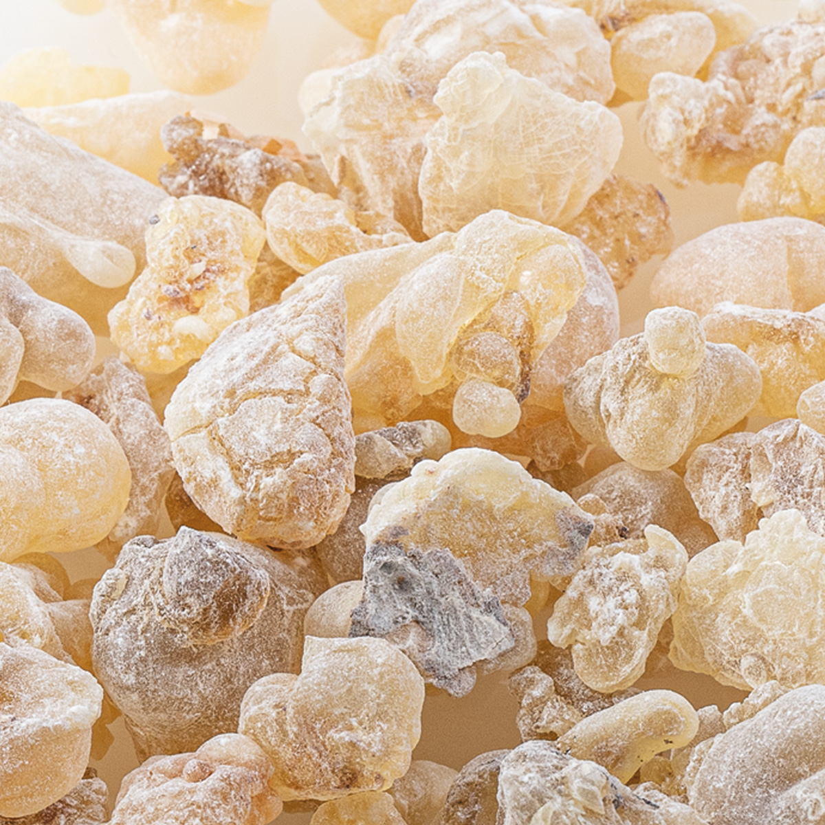 WR57 "Weihrauch Al-Hojari" WR57 "Weihrauch Al-Hojari"