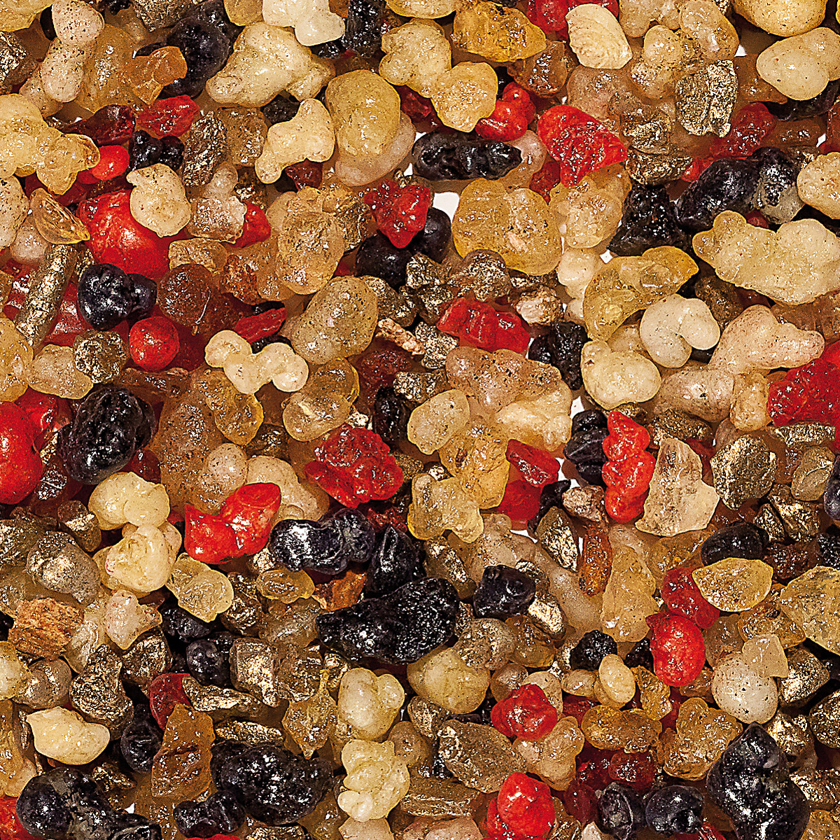 WR14 "Holländisch Nr. 14" WR14 "Holländisch Nr. 14"