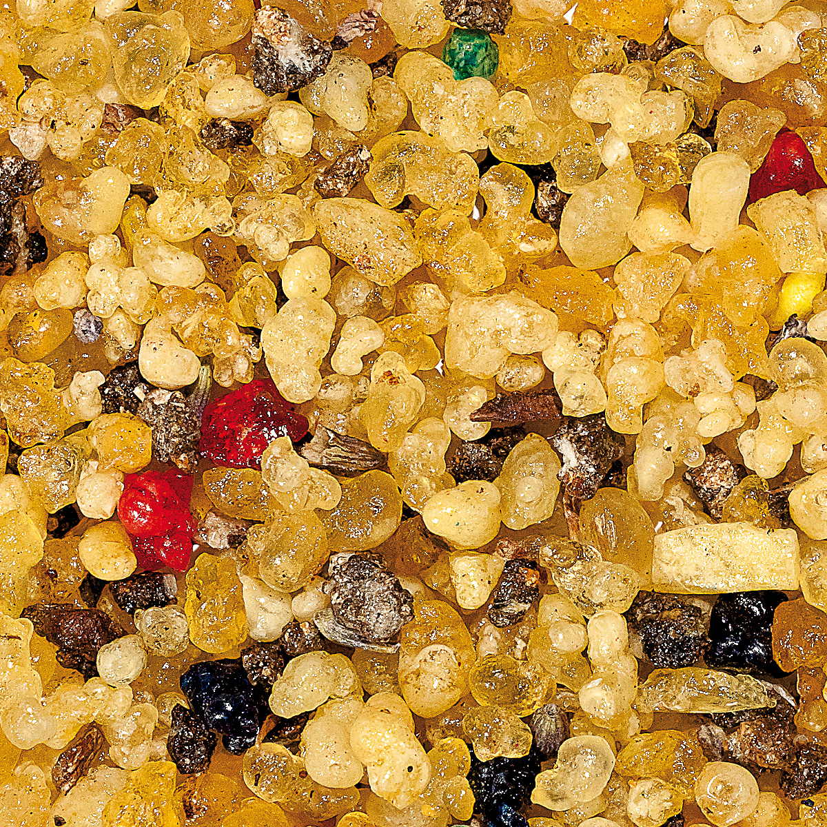 WR37M "Pacem", Muster 10 gr. WR37M "Pacem", Muster 10 gr.