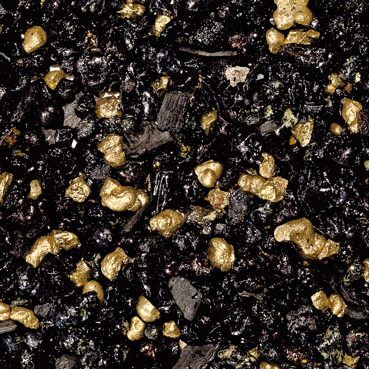 WR2 "Pontifical", Bestseller WR2 "Pontifical", Bestseller