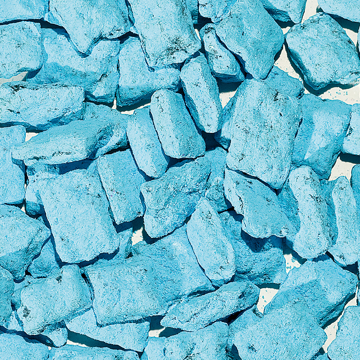 WR27 "Königin der Nacht" WR27 "Königin der Nacht"